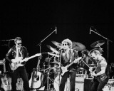Bob Dylan, John Rockwood, 1981, Toledo, Ohio Photo