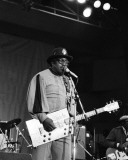 Bo Diddley, John Rockwood, 1989, Toledo, Ohio Photographie