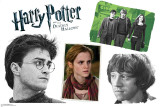 Harry Potter Group - Harry Potter and the Deathly Hallows Wall Decal