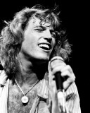 Andy Gibb, Thomas Weschler, 1978, Pine Knob, Detroit, Michigan Fotografía Andy Gibb, Thomas Weschler, 1978, Pine Knob, Detroit, Michigan Fotografía