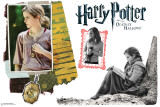 Hermione Granger - Harry Potter and the Deathly Hallows Wall Decal