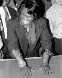 James Brown, Robert Jr. Whitall, 1993, Metropolitan Music Cafe, Royal Oak, Michigan Photographie