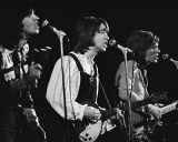 Hollies, Gary Smaby, 1974, Minneapolis, Minnesota Photo