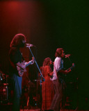 Grateful Dead, Robert Cavallo, 1977, Alpine Valley, Milwaukee, Wisconsin Photo