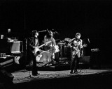 Bob Dylan & The Band, Charlie Auringer, 1974, Crisler Arena, Ann Arbor, Michigan Photo