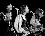 Hollies, Gary Smaby, 1974, Minneapolis, Minnesota Photographie