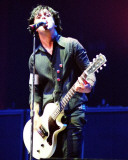Green Day, Steve Galli, 2005, The Palace, Auburn Hills, Michigan Photo