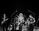 Bob Dylan, John Rockwood, 1981, Toledo, Ohio Photo