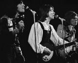 Hollies, Gary Smaby, 1974, Minneapolis, Minnesota Photographie