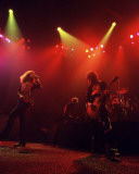 Led Zeppelin, Charlie Auringer, 1975, Olympia Stadium, Detroit, Michigan Photo