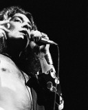 Led Zeppelin, Charlie Auringer, 1975, Olympia Arena, Detroit, Michigan Photo