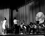 Donna Summer, Thomas Weschler, 1976, Pine Knob, Detroit, Michigan Fotografía Donna Summer, Thomas Weschler, 1976, Pine Knob, Detroit, Michigan Fotografía