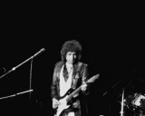 Bob Dylan, John Rockwood, 1978, Toledo, Ohio Photo