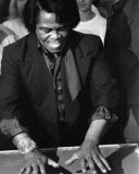 James Brown, Robert Jr. Whitall, 1993, Metropolitan Music Cafe, Royal Oak, Michigan Photographie