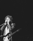 Bob Dylan, John Rockwood, 1978, Toledo, Ohio Photo