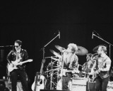 Bob Dylan, John Rockwood, 1981, Toledo, Ohio Photographie