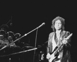 Bob Dylan, John Rockwood, 1978, Toledo, Ohio Photo
