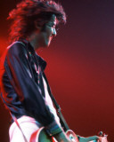 Led Zeppelin, Charlie Auringer, 1973, Cobo Hall, Detroit, Michigan Photo