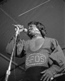 James Brown, John Rockwood, 1974, Windsor, Ontario Photo