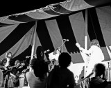 Plastic Ono Band, Charlie Auringer, 1969, Rock & Roll Revival Concert, Toronto, Ontario Photographie