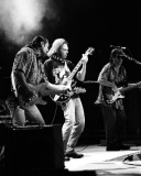 Neil Young w/ Booker T. & The MG's, Robert Jr. Whitall, 1993, Pine Knob, Clarkston, Michigan Photo
