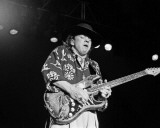 Stevie Ray Vaughan, John Rockwood, 1984, Toledo Zoo, Toledo, Ohio Photo