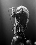Led Zeppelin, Charlie Auringer, 1975, Olympia Stadium, Detroit, Michigan Photo