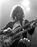 Led Zeppelin, Charlie Auringer, 1975, Olympia Stadium, Detroit, Michigan Photo