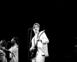 Talking Heads, Mark Honickel, 1983, Forest Hills, New York Photo