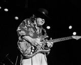 Stevie Ray Vaughan, John Rockwood, 1984, Toledo Zoo, Toledo, Ohio Photo