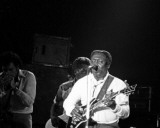 Muddy Waters, John Rockwood, 1978 Fotografía Muddy Waters, John Rockwood, 1978 Fotografía