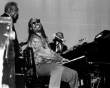 Stevie Wonder, Robert Jr. Whitall, 1993, State Theatre, Detroit, Michigan Photo