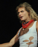 Van Halen, Rick Kohlmeyer, 1982, Milwaukee, Wisconsin Photo