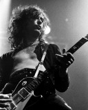 Led Zeppelin, Charlie Auringer, 1975, Olympia Arena, Detroit, Michigan Photo
