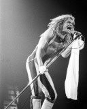 Van Halen, Larry Kaplan, 1980, Michigan Photo