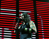 Red Hot Chili Peppers, Steve Galli, 2006, The Palace, Auburn Hills, Michigan Photographie