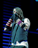 Red Hot Chili Peppers, Steve Galli, 2006, The Palace, Auburn Hills, Michigan Fotografía