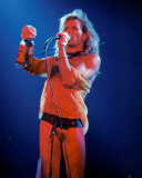 Van Halen, Rick Kohlmeyer, 1979, Milwaukee, Wisconsin Photo