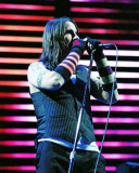 Red Hot Chili Peppers, Steve Galli, 2006, The Palace, Auburn Hills, Michigan Fotografía