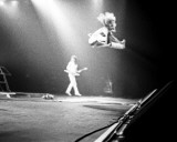 Van Halen, Larry Kaplan, 1980, Michigan Fotografía Van Halen, Larry Kaplan, 1980, Michigan Fotografía