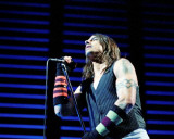 Red Hot Chili Peppers, Steve Galli, 2006, The Palace, Auburn Hills, Michigan Fotografía