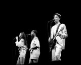 Talking Heads, Mark Honickel, 1983, Forest Hills, New York Photo