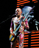 Red Hot Chili Peppers, Steve Galli, 2006, The Palace, Auburn Hills, Michigan Photo