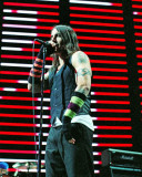Red Hot Chili Peppers, Steve Galli, 2006, The Palace, Auburn Hills, Michigan Photographie