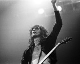 Led Zeppelin, Charlie Auringer, 1975, Olympia Arena, Detroit, Michigan Photo