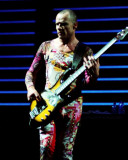 Red Hot Chili Peppers, Steve Galli, 2006, The Palace, Auburn Hills, Michigan Photographie