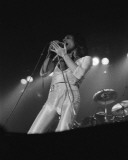 Queen, Rich Zimmermann, 1975, Uptown Theater, Milwaukee, Wisconsin Fotografía Queen, Rich Zimmermann, 1975, Uptown Theater, Milwaukee, Wisconsin Fotografía