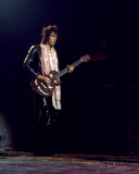 Rolling Stones, Charlie Auringer, 1972, Cobo Hall, Detroit, Michigan Photo