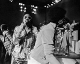 Stevie Wonder, Larry Kaplan, 1981, Michigan Photo