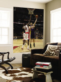 Los Angeles Lakers v Toronto Raptors: Pau Gasol and Solomon Alabi Wall Mural by Ron Turenne